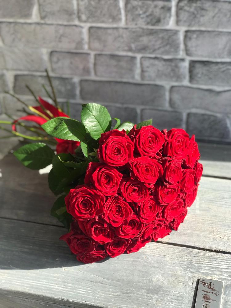 Букет Красные розы Фридом в Аксиньино