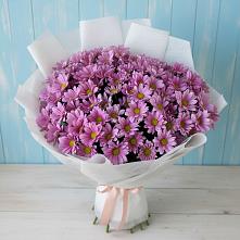 Букет цветов из:  Хризантемы в Аксиньино