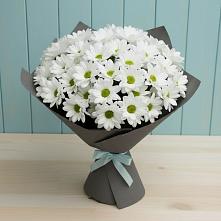 Букет цветов из:  Хризантемы #REPLACE_PRED# Аксиньино