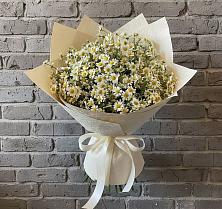 Букет цветов из:  Ромашки #REPLACE_PRED# Аксиньино
