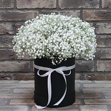 Цветочная композиция из Гипсофила в шляпной коробке в Аксиньино